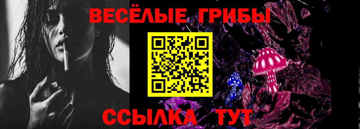 Галлюциногенные грибы Psilocybe  Галлюциногенные грибы ЛСД  цена наркотик  Вход с VPN  Комсомольск-на-Амуре 